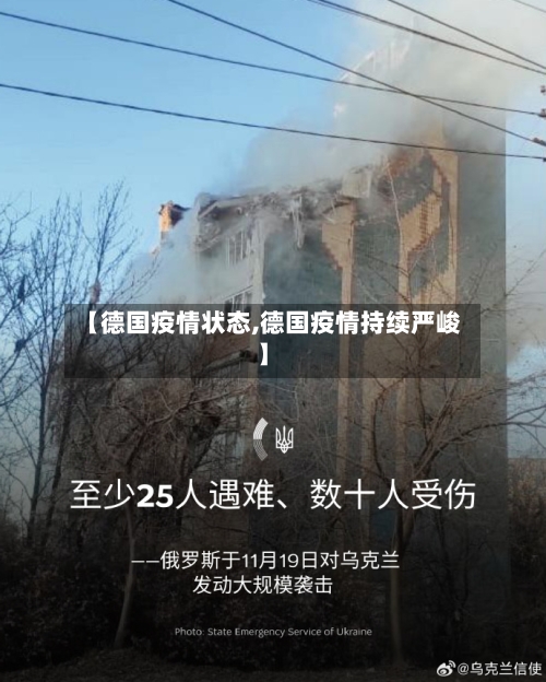 【德国疫情状态,德国疫情持续严峻】-第2张图片