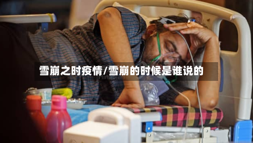 雪崩之时疫情/雪崩的时候是谁说的-第2张图片