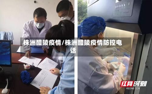 株洲醴陵疫情/株洲醴陵疫情防控电话