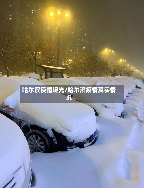 哈尔滨疫情曝光/哈尔滨疫情真实情况-第2张图片