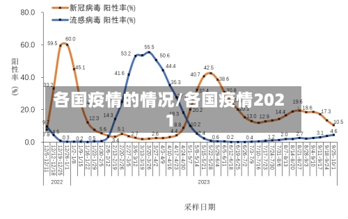 各国疫情的情况/各国疫情2021