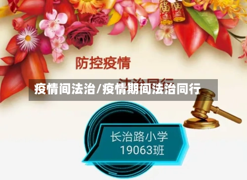 疫情间法治/疫情期间法治同行-第2张图片