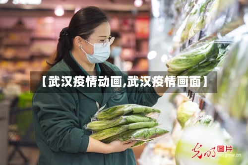 【武汉疫情动画,武汉疫情画面】