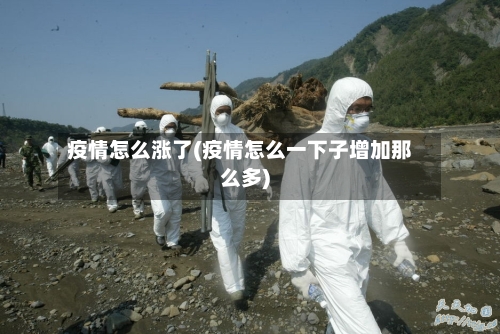疫情怎么涨了(疫情怎么一下子增加那么多)-第2张图片