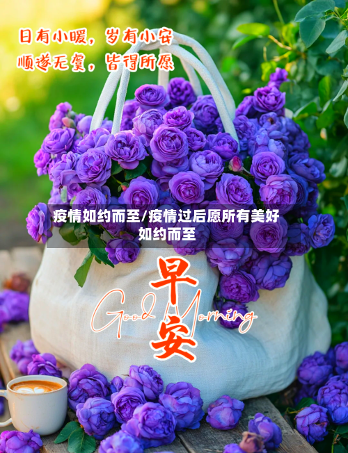疫情如约而至/疫情过后愿所有美好如约而至