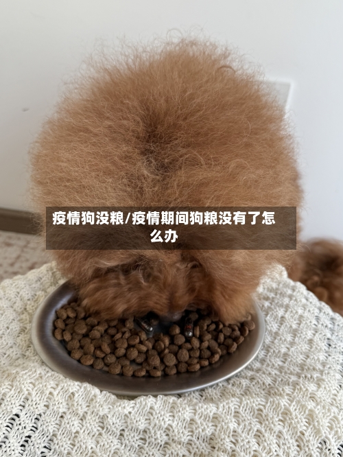 疫情狗没粮/疫情期间狗粮没有了怎么办