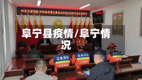 阜宁县疫情/阜宁情况-第3张图片