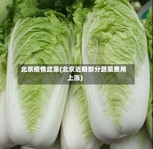 北京疫情疏菜(北京近期部分蔬菜费用上涨)-第3张图片