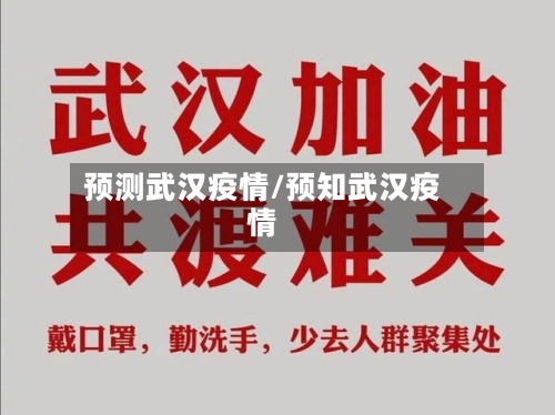 预测武汉疫情/预知武汉疫情-第2张图片