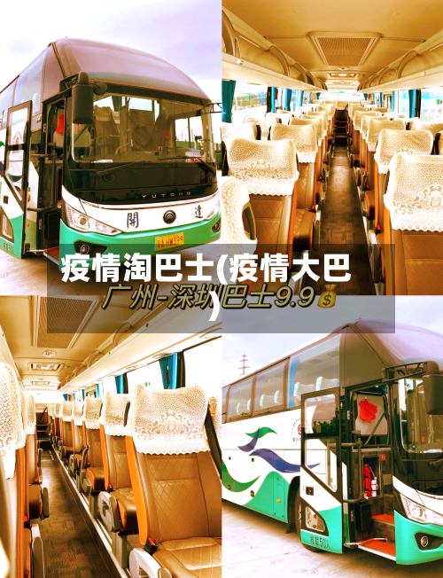 疫情淘巴士(疫情大巴)-第3张图片