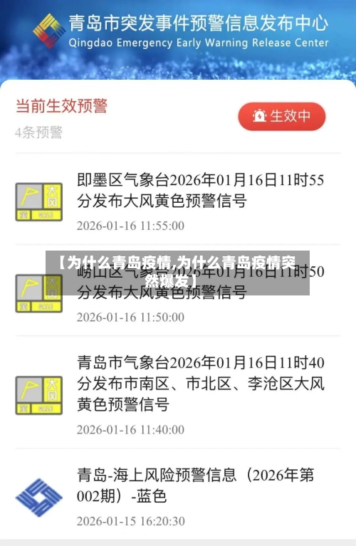 【为什么青岛疫情,为什么青岛疫情突然爆发】