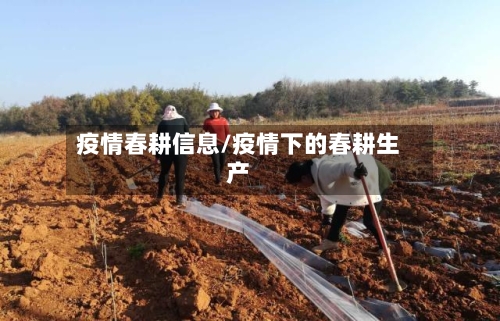 疫情春耕信息/疫情下的春耕生产-第2张图片
