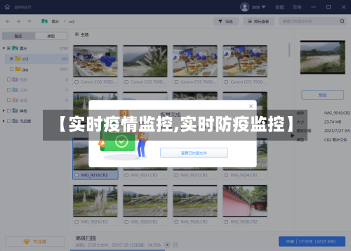 【实时疫情监控,实时防疫监控】