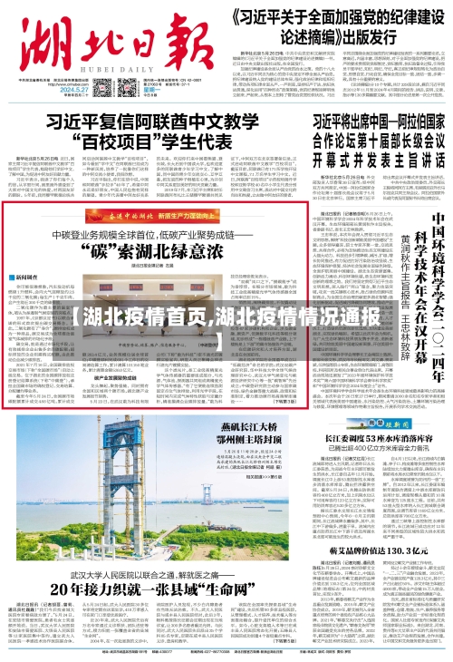 【湖北疫情首页,湖北疫情情况通报】-第2张图片