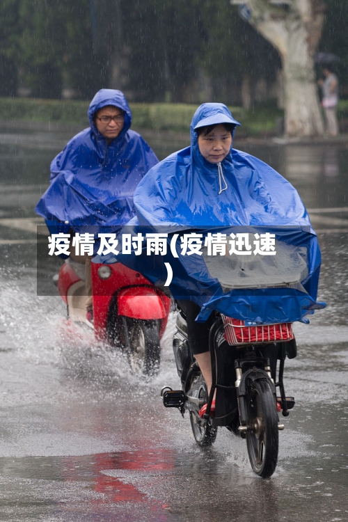 疫情及时雨(疫情迅速)-第2张图片