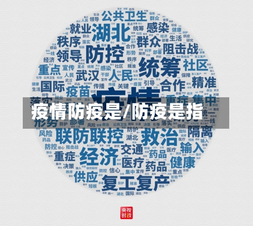 疫情防疫是/防疫是指