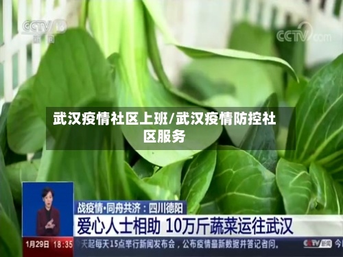 武汉疫情社区上班/武汉疫情防控社区服务
