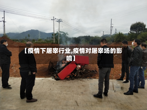 【疫情下屠宰行业,疫情对屠宰场的影响】-第3张图片