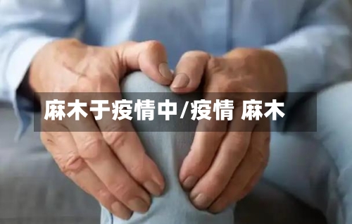 麻木于疫情中/疫情 麻木-第2张图片