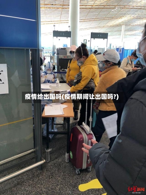 疫情给出国吗(疫情期间让出国吗?)-第3张图片