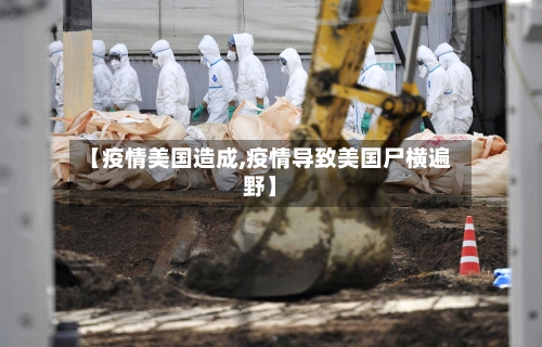 【疫情美国造成,疫情导致美国尸横遍野】