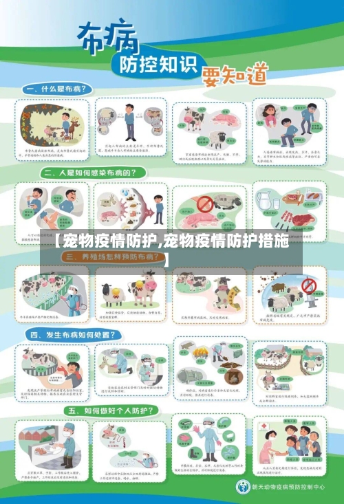 【宠物疫情防护,宠物疫情防护措施】