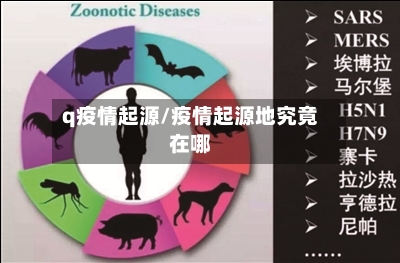 q疫情起源/疫情起源地究竟在哪