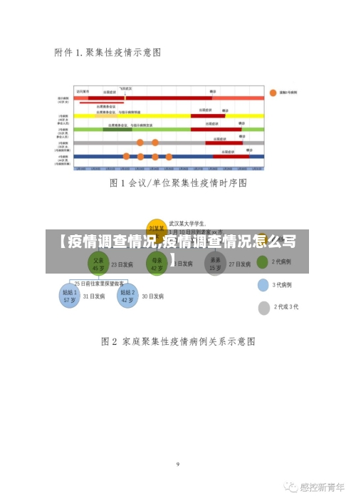 【疫情调查情况,疫情调查情况怎么写】-第3张图片