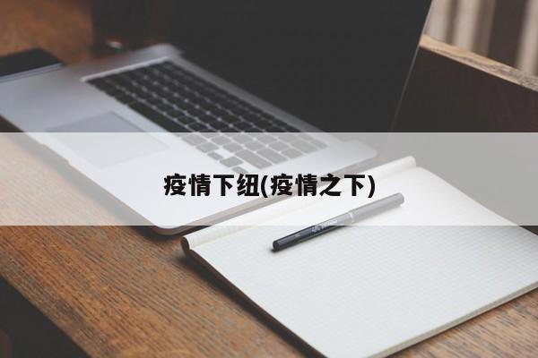 疫情下纽(疫情之下)
